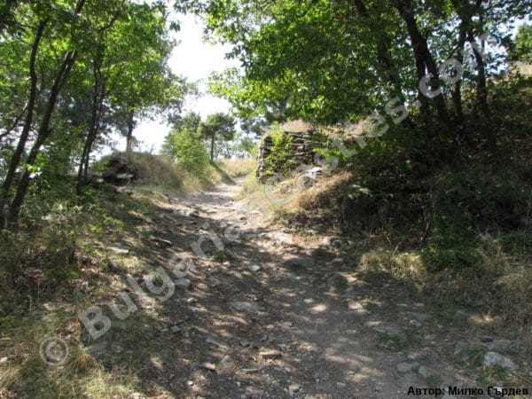 bulgarian castles tsepina 2