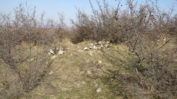 С. Първомайци - Кариерата С. Първомайци - Кариерата