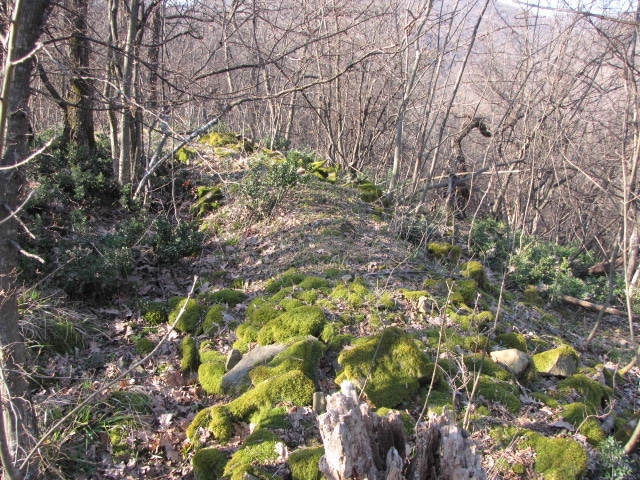 Гр  Златарица   Кота 215 3