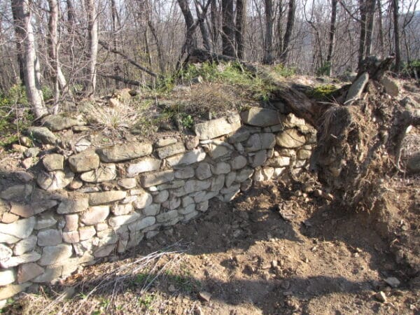 Гр  Златарица   Макавея