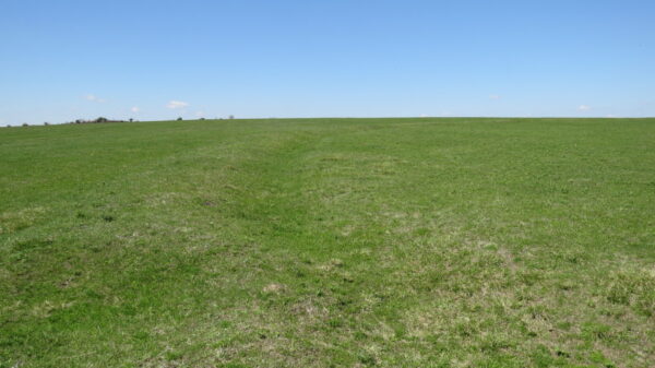 С. Брегаре - Кота 94.0 С. Брегаре - Кота 94.0