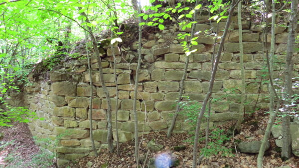 IMG_1510 IMG 1510