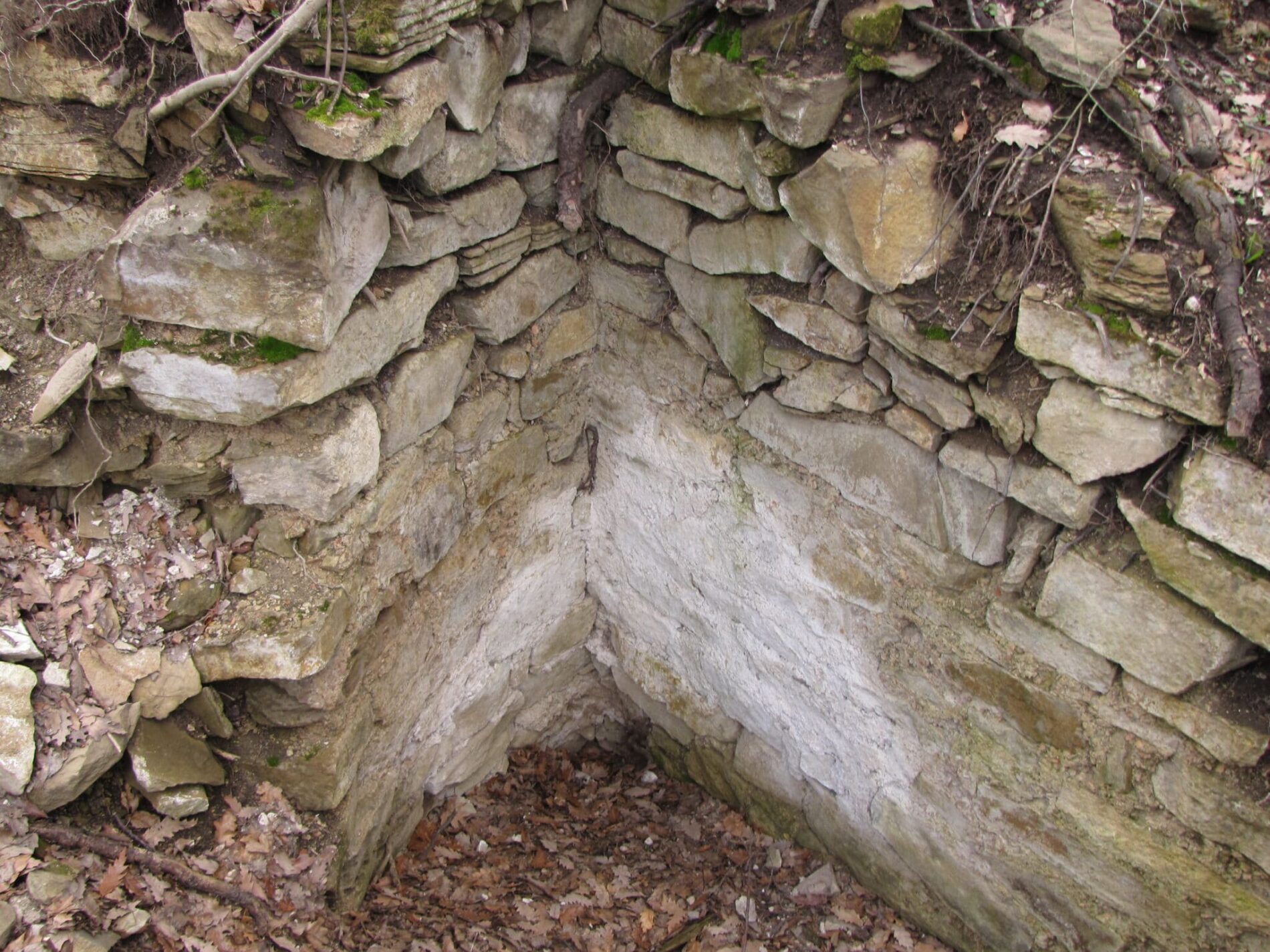 С  Мерданя   Стария манастир