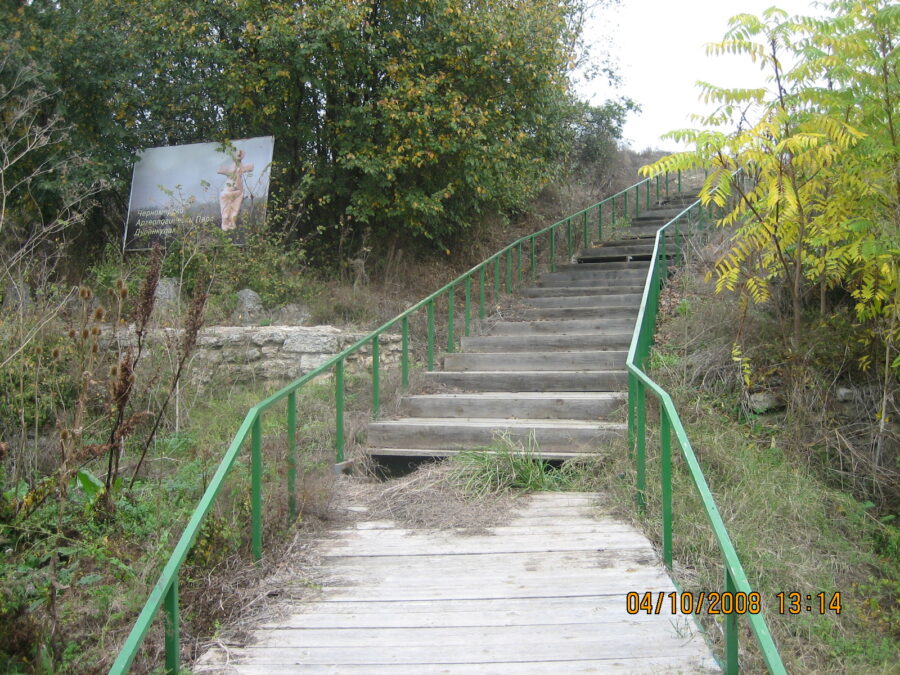 img 2525 e1605871159473