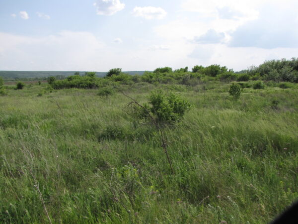 С. Брегаре - Калето С. Брегаре - Калето