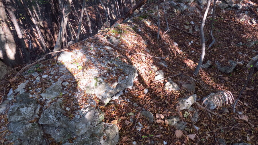 img 4183 scaled e1605940894888