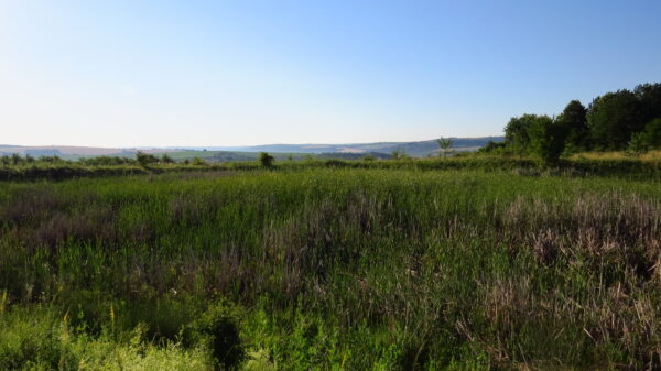 IMG_5104 IMG 5104