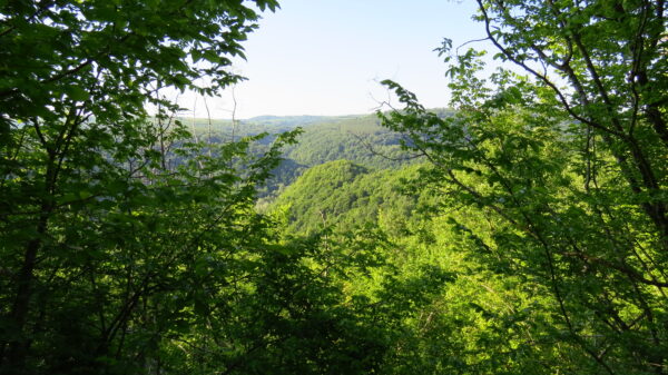 IMG_5121 IMG 5121