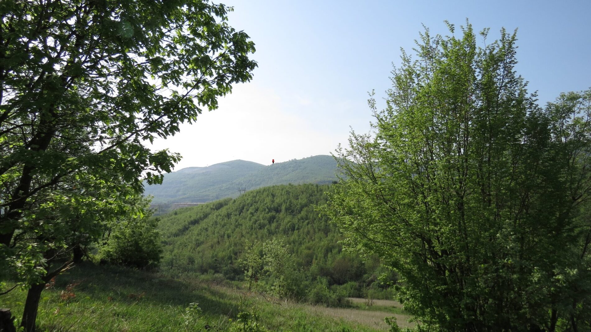 Зл. Панега - Кота 436.8