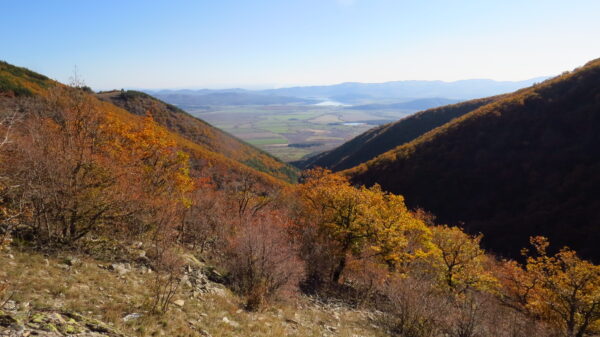 IMG_6862 IMG 6862