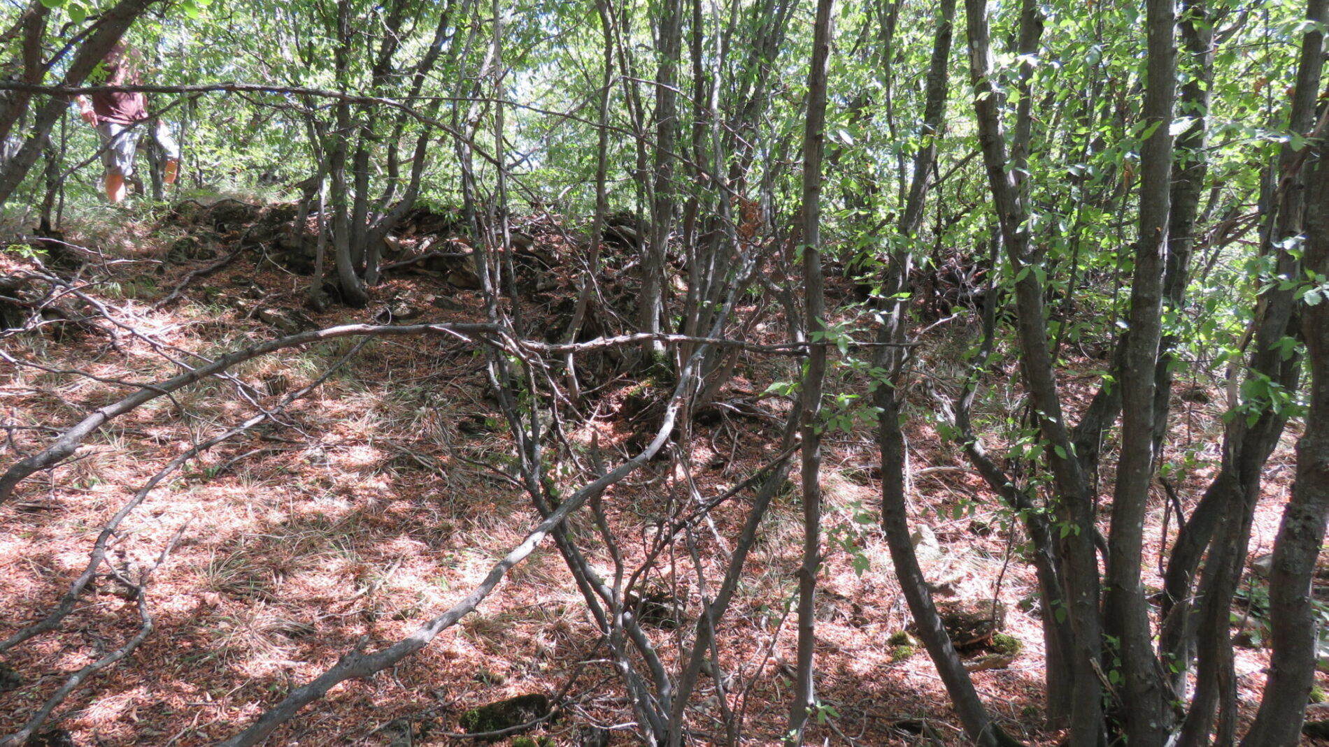 Гр  Ловеч   Кулата