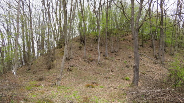 С  Горско Ново село   Асара