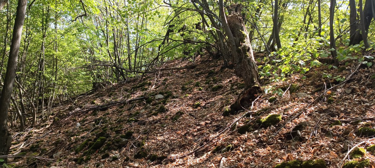 С  Гостиня   Градът
