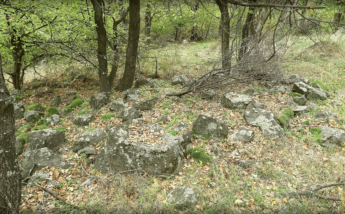 С  Бели пласт   тракийска крепост