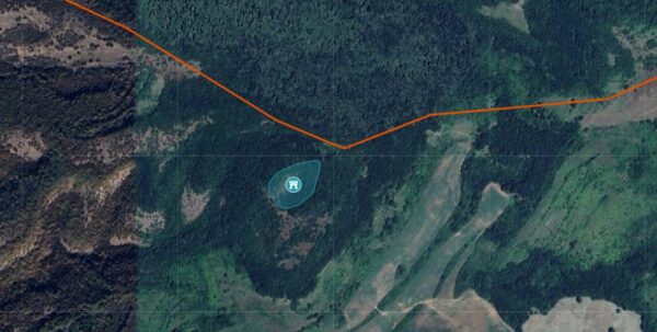 С. Пресяка - Голям