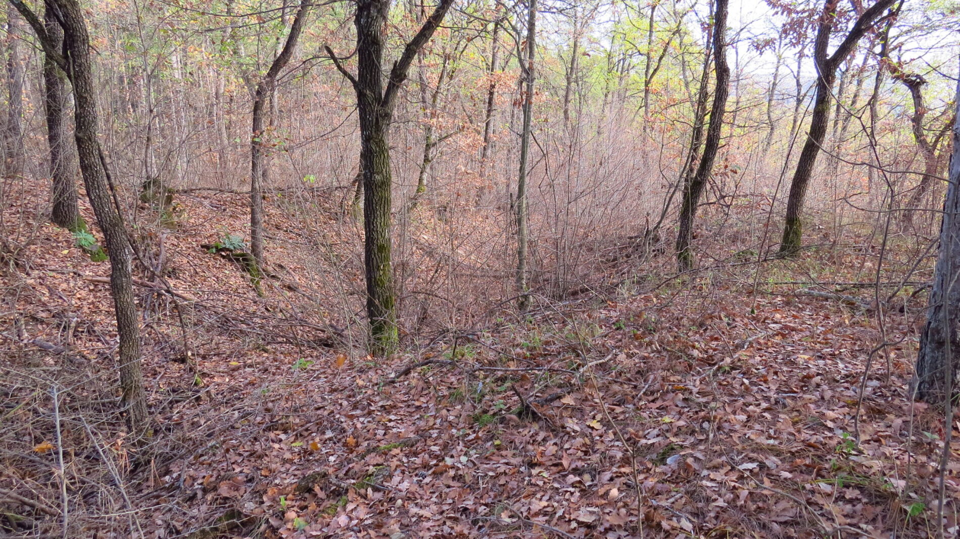 С. Вишовград - Кулевец