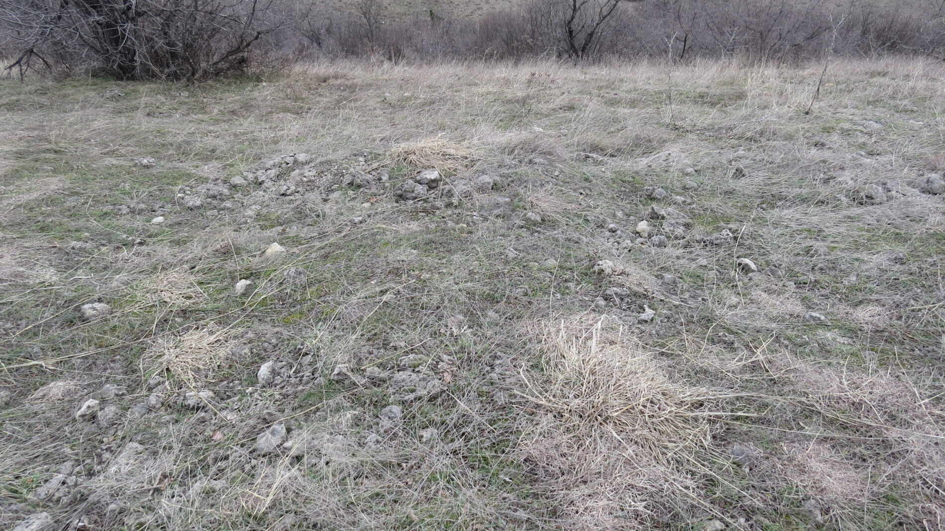 С  Арбанаси   Кота 348 0