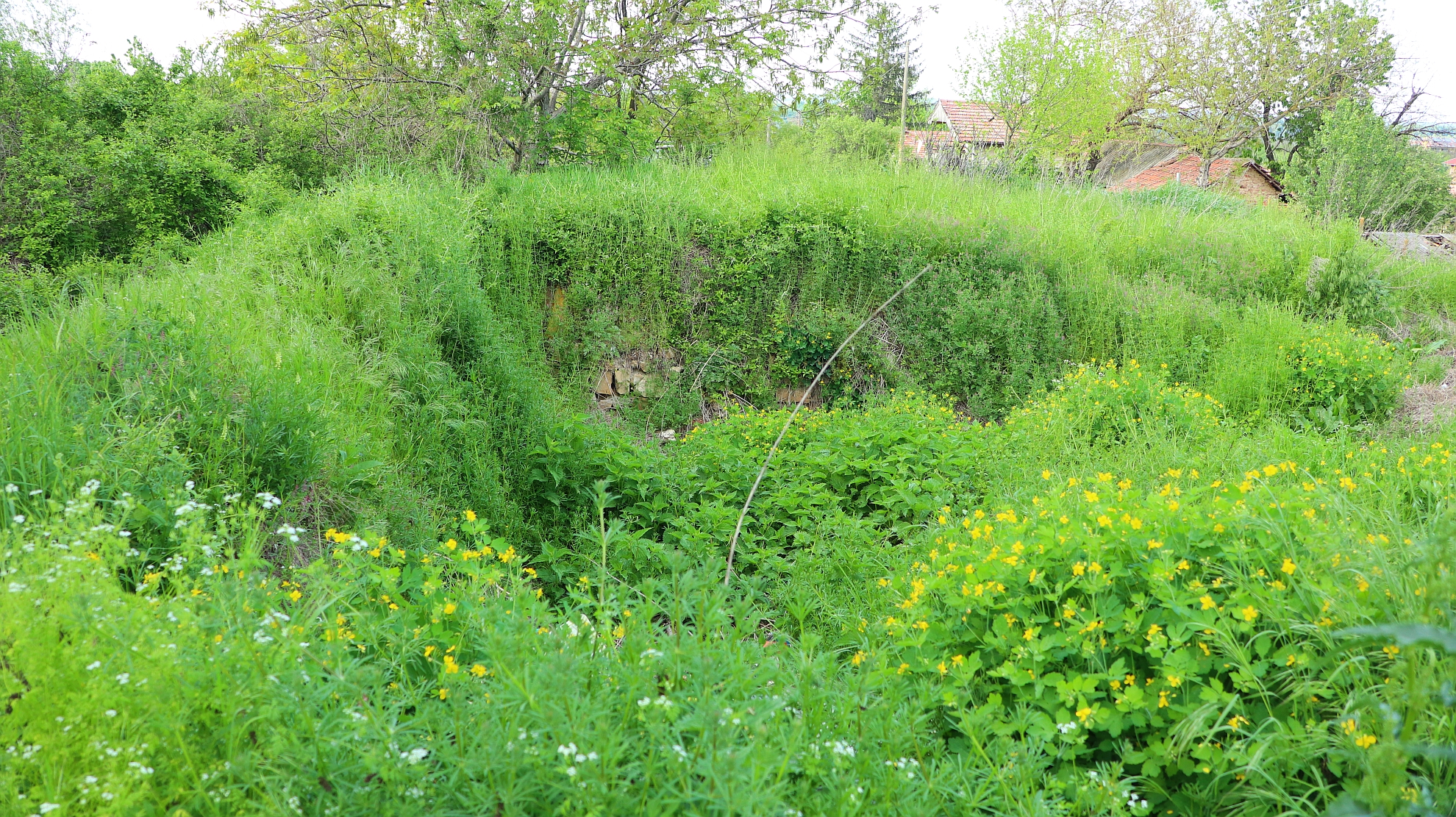 Гр. Свищов - кула Кота 44.0 1 Gr svishtov – kula kota 44 0