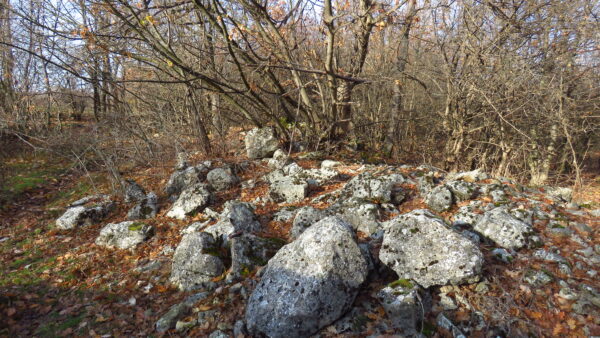 С  Каменарци   Каяджик баши