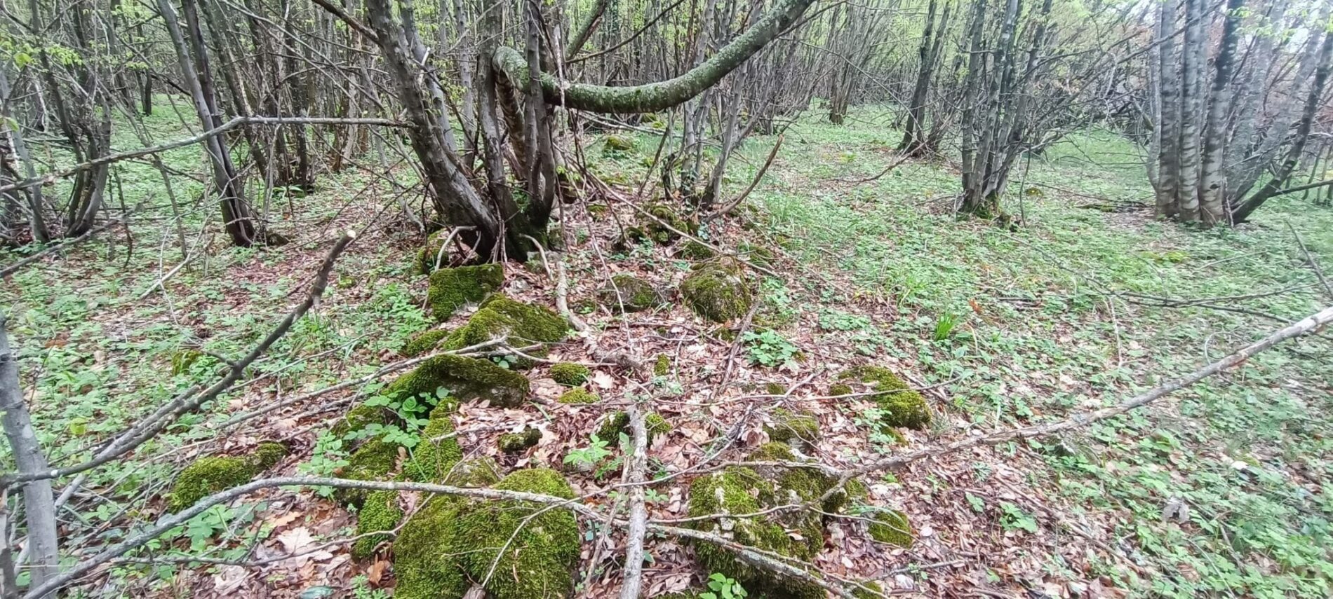 С. Деветаки - крепост Кота 301.2 1 Деветаки Кота 301 2