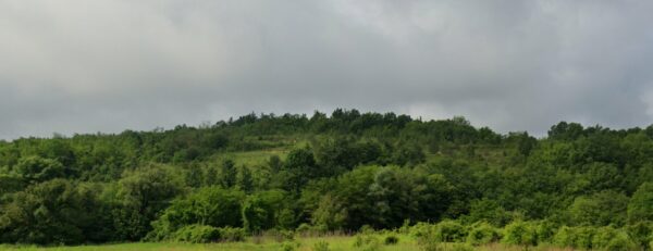 Гаганица   Кота 292 1