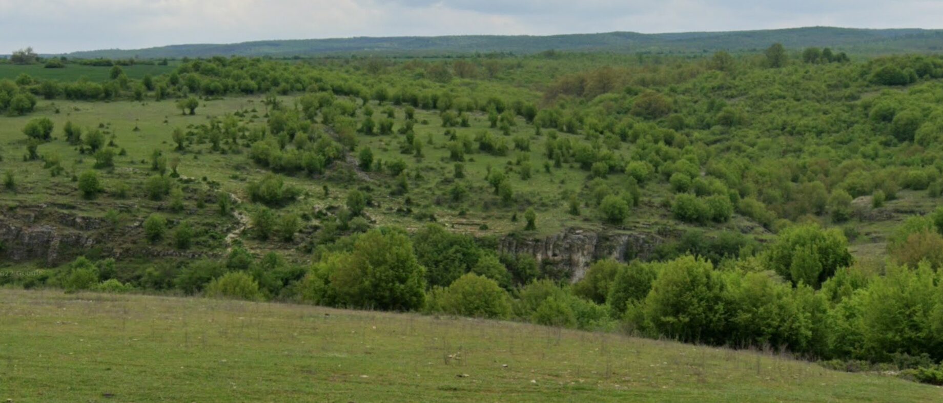 Габаре   Бриша