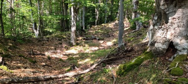 Терзийско - Кота 975.8 Терзийско - Кота 975.8