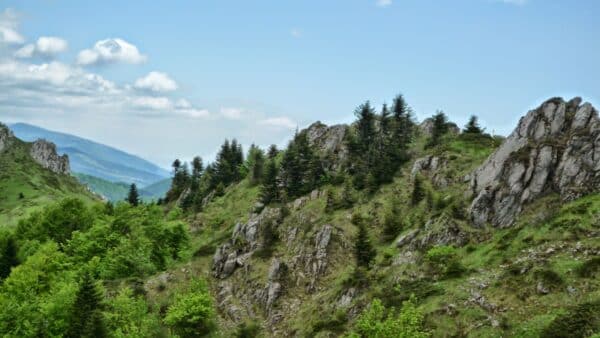 Чифлика - Капуджика Чифлика - Капуджика