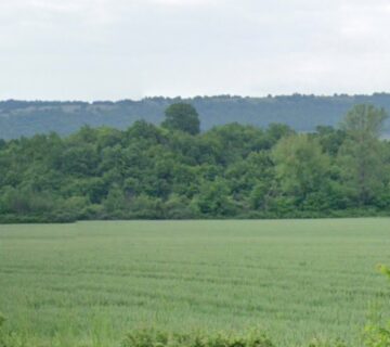 Д. Белотинци - Кремениш