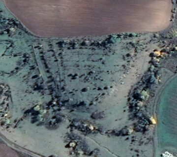 Д-р Йосифово - Зелени