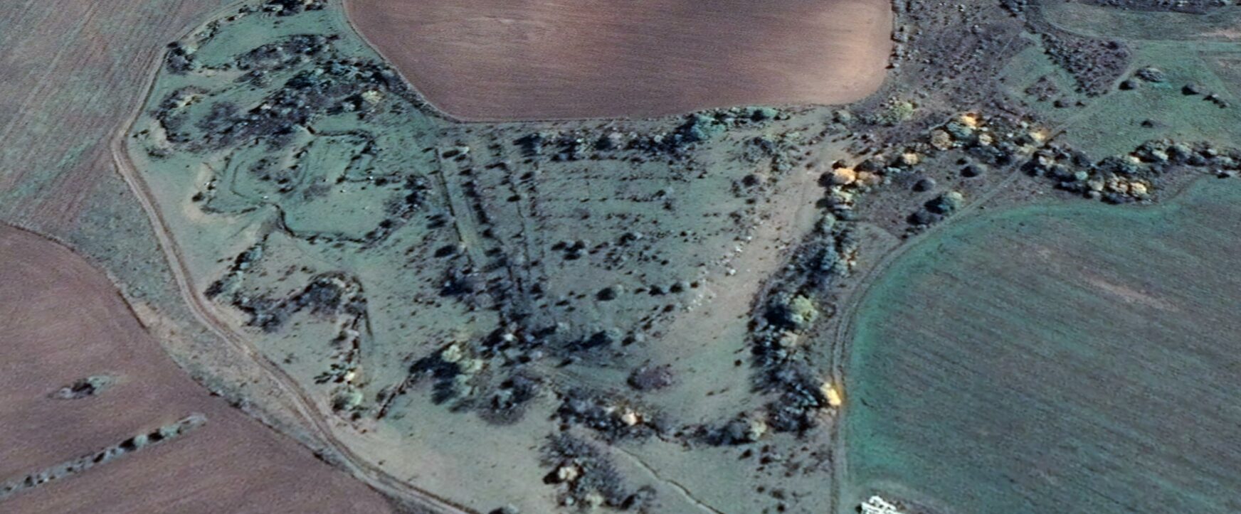 Д-р Йосифово - Зелени