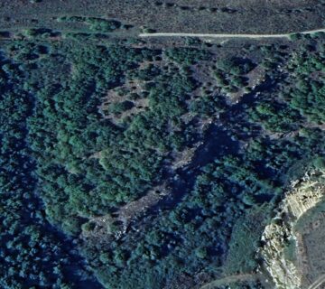 Николово - Пчелата