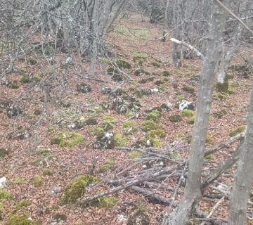 ukrepeno selishte kaleto