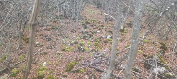 Укрепено селище Калето