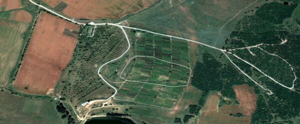 Избеглии - Св. Илия