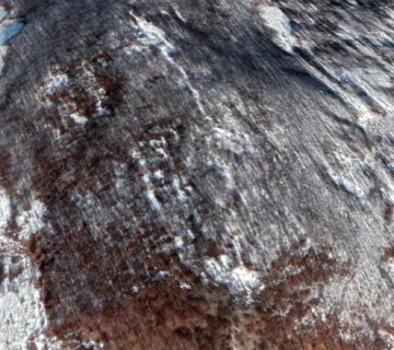 Ослен - Лижко