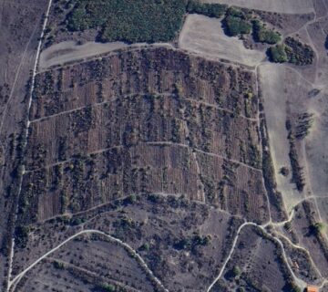 Избеглии - Св. Илия