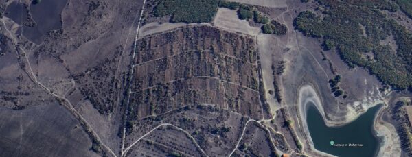 Избеглии - Св. Илия