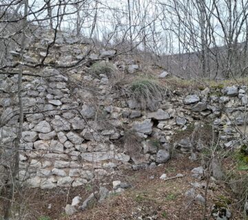 Липница - Колата