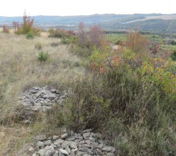 Ивайловград - Петрово