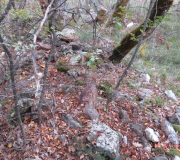 Меден бук - Св. Илия