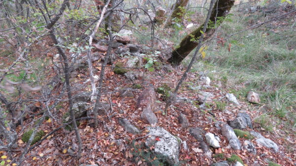 Меден бук - Св. Илия Меден бук - Св. Илия